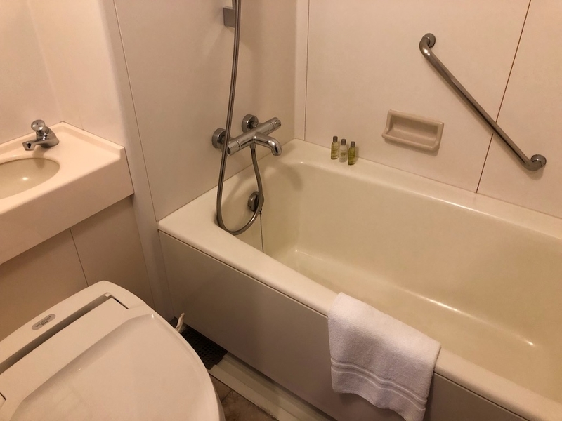 The author's own June photograph of the bath and toilet in her Hilton room