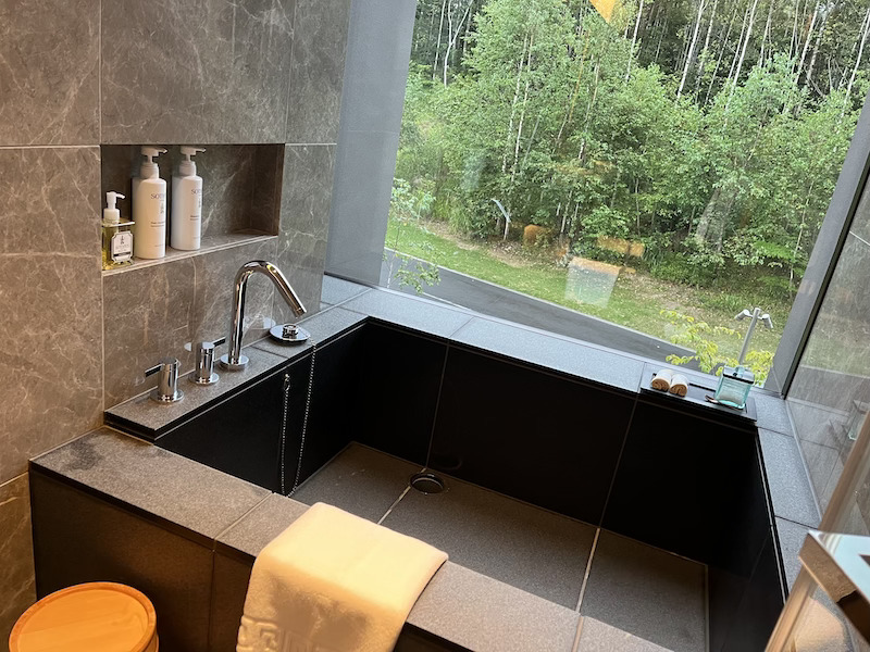 The author's own photograph of the bath in her Ritz-Carlton Reserve room